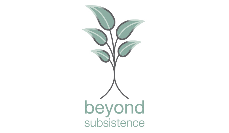 Beyond Subsistence